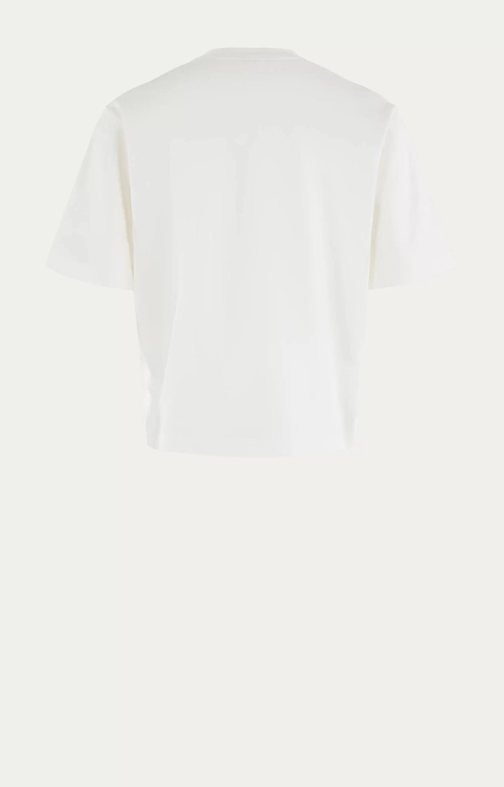 shirt boxy wit 2
